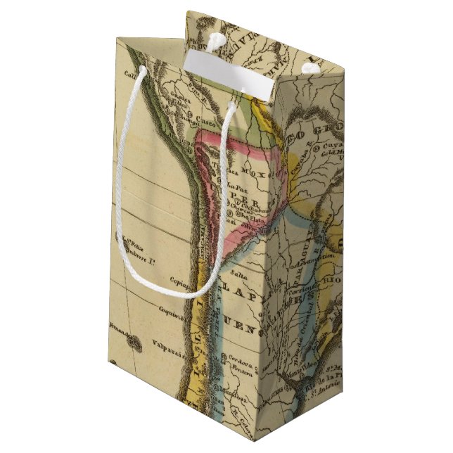 South America 7 Small Gift Bag (Back Angled)