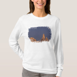South America, Argentina, Patagonia Parque T-Shirt