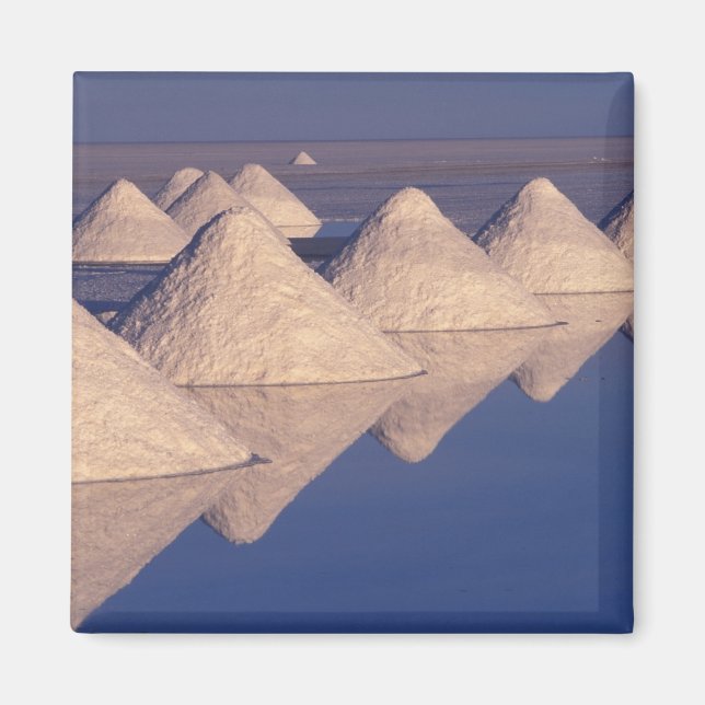 South America, Bolivia. Salar de Uyuni Magnet (Front)