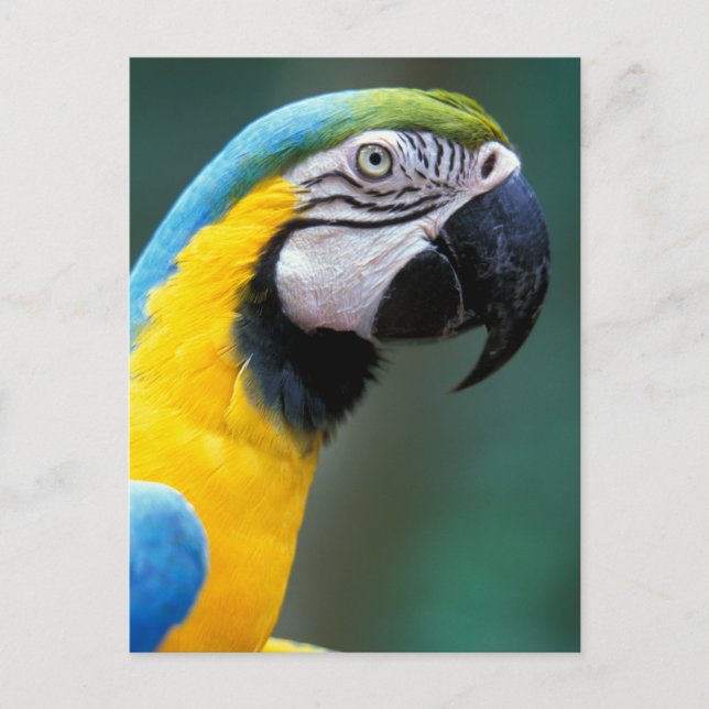 South America, Brazil, Iguacu Natioanl Park, Postcard (Front)