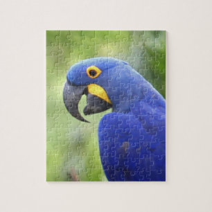 South America, Brazil, Pantanal Jigsaw Puzzle
