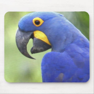 South America, Brazil, Pantanal Mouse Mat