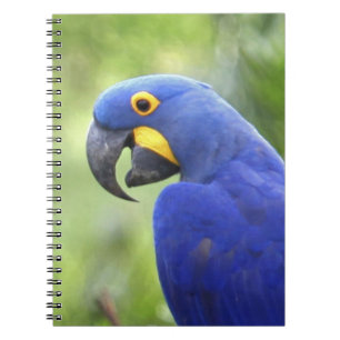 South America, Brazil, Pantanal Notebook