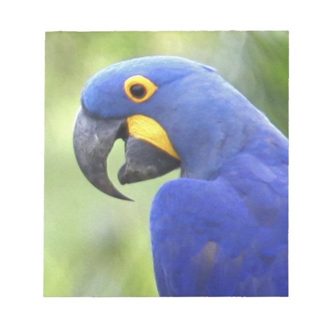 South America, Brazil, Pantanal Notepad (Front)