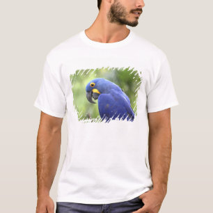 South America, Brazil, Pantanal T-Shirt
