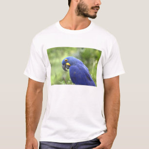 South America, Brazil, Pantanal T-Shirt