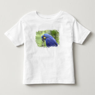 South America, Brazil, Pantanal Toddler T-Shirt