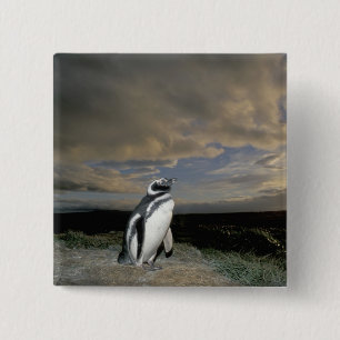 South America, Chile, Patagonia, Magellanes, 15 Cm Square Badge