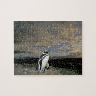 South America, Chile, Patagonia, Magellanes, Jigsaw Puzzle