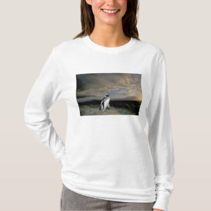 South America, Chile, Patagonia, Magellanes, T-Shirt
