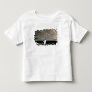 South America, Chile, Patagonia, Magellanes, Toddler T-Shirt