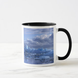 South America, Chile, San Rafael Lagoon NP. Mug