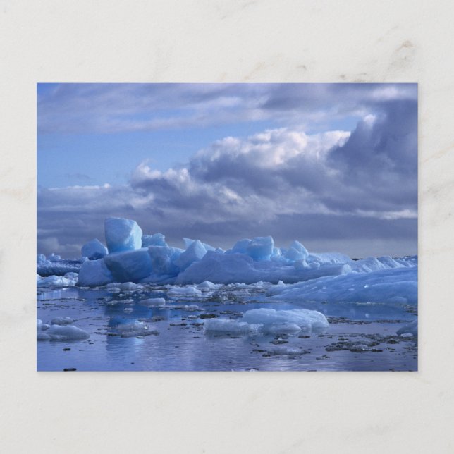 South America, Chile, San Rafael Lagoon NP. Postcard (Front)