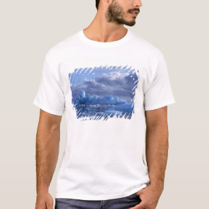 South America, Chile, San Rafael Lagoon NP. T-Shirt