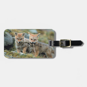South America, Chile, Torres del Paine National Luggage Tag
