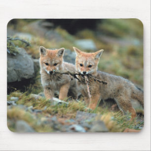 South America, Chile, Torres del Paine National Mouse Mat