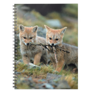 South America, Chile, Torres del Paine National Notebook