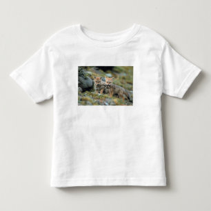 South America, Chile, Torres del Paine National Toddler T-Shirt
