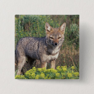 South America, Chile, Torres del Paine NP, 15 Cm Square Badge