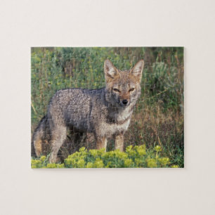 South America, Chile, Torres del Paine NP, Jigsaw Puzzle
