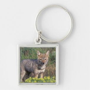 South America, Chile, Torres del Paine NP, Key Ring