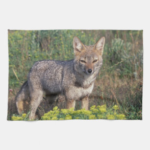 South America, Chile, Torres del Paine NP, Tea Towel