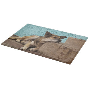 South America, Chile, Valparaiso. German Cutting Board