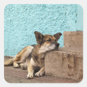 South America, Chile, Valparaiso. German Square Sticker