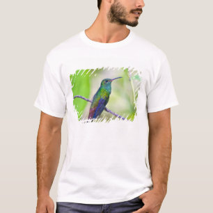 South America, Costa Rica, Sarapiqui, La Selva T-Shirt