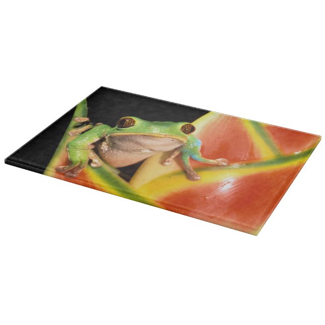 South America, Ecuador, Amazon. Tree frog Cutting Board (Corner)