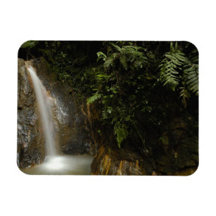 South America, Ecuador, eastern slope of the Magnet