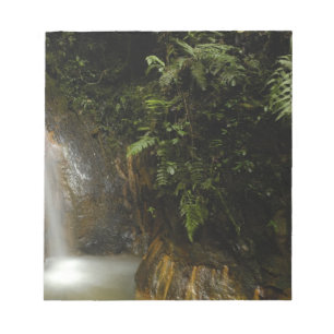 South America, Ecuador, eastern slope of the Notepad