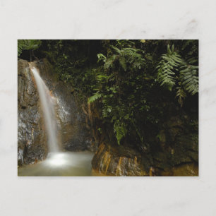 South America, Ecuador, eastern slope of the Postcard