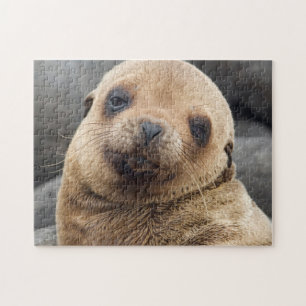 South America, Ecuador, Galapagos Islands Jigsaw Puzzle