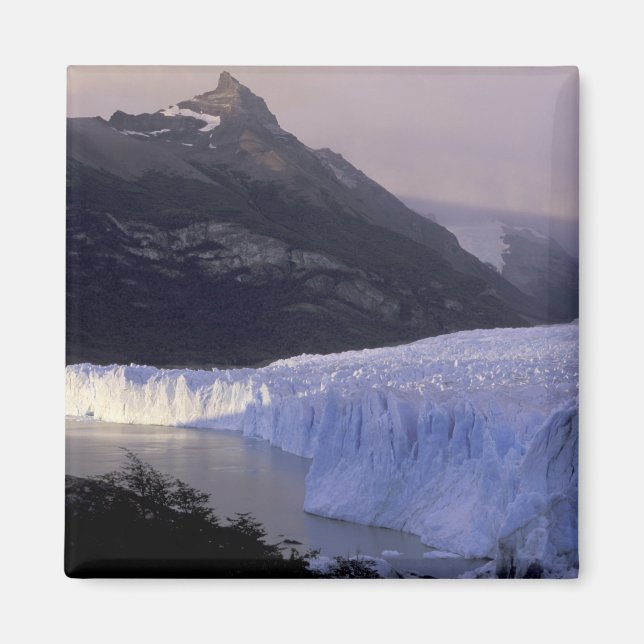 South America, Patagonia, Argentina Parque Magnet (Front)