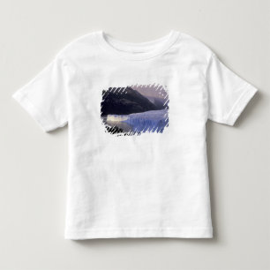South America, Patagonia, Argentina Parque Toddler T-Shirt