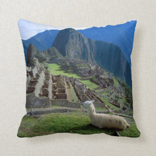 South America, Peru. A llama rests on a hill Cushion