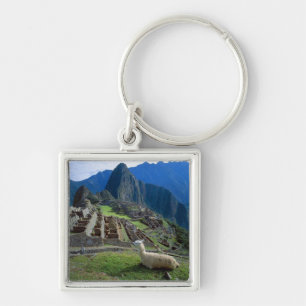 South America, Peru. A llama rests on a hill Key Ring