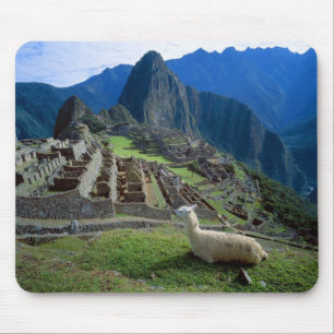 South America, Peru. A llama rests on a hill Mouse Mat
