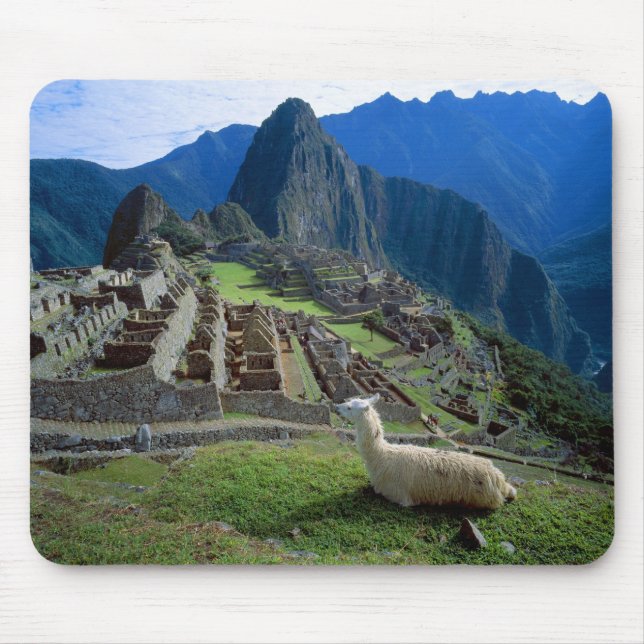 South America, Peru. A llama rests on a hill Mouse Mat (Front)