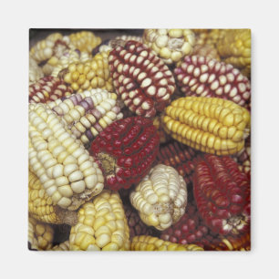 South America, Peru Corn, Maize Magnet
