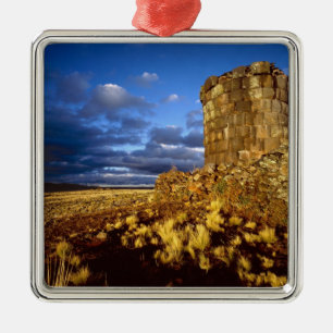 South America, Peru, near Lake Titicaca. Metal Tree Decoration