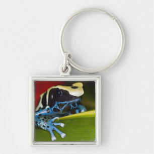 South America, Republic of Surinam. Close-up Key Ring