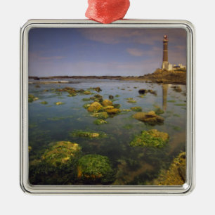 South America, Uruguay, Punta Jose Ignacio, Metal Tree Decoration