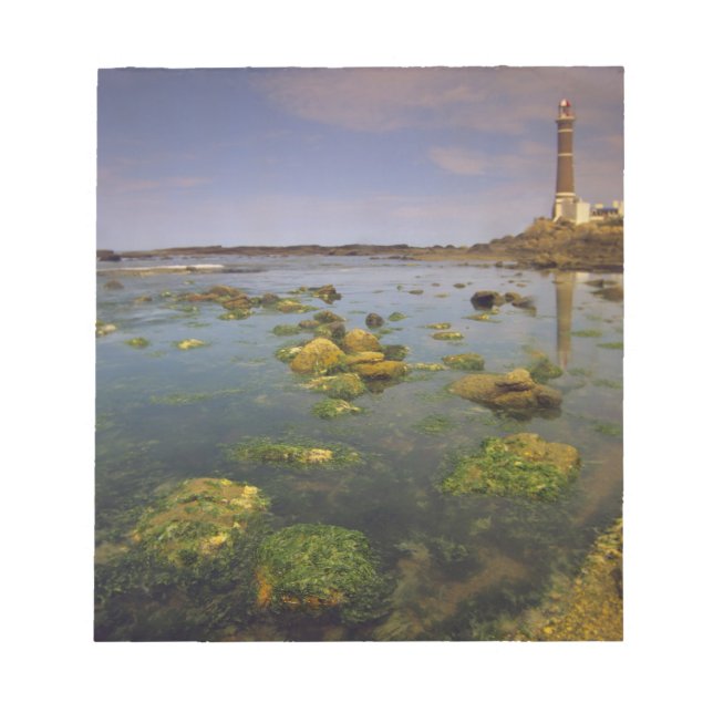 South America, Uruguay, Punta Jose Ignacio, Notepad (Front)