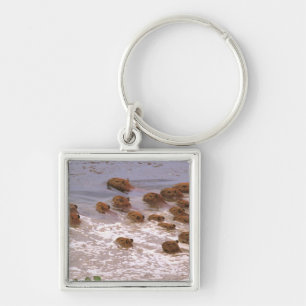 South America, Venezuela, Llano region. Key Ring