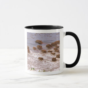 South America, Venezuela, Llano region. Mug