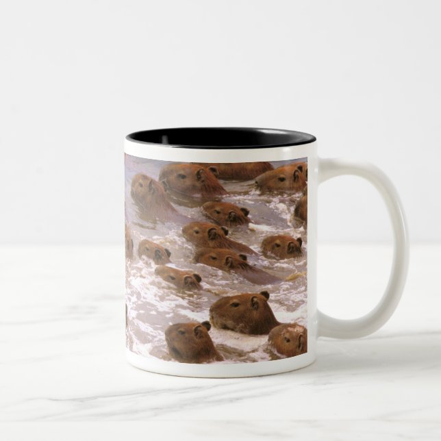 South America, Venezuela, Llano region. Two-Tone Coffee Mug (Right)