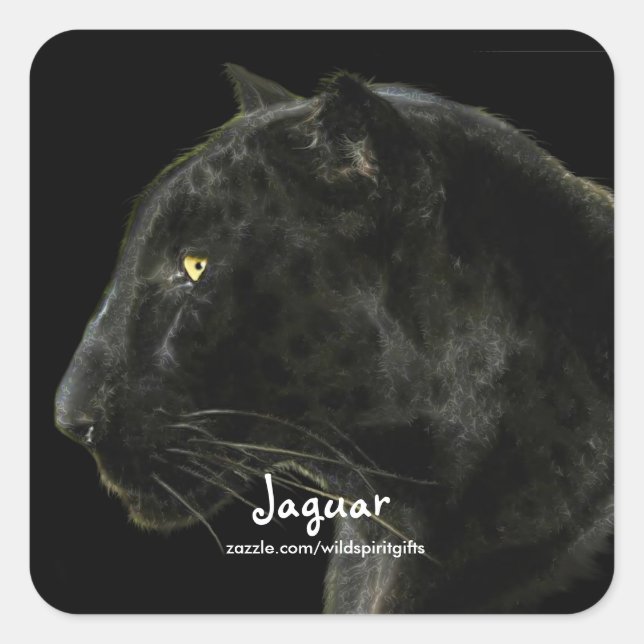South American Black Jaguar Wildlife Collector Square Sticker (Front)