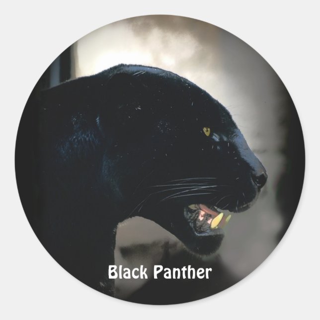 South American Black Panther Wildlife Stickers (Front)